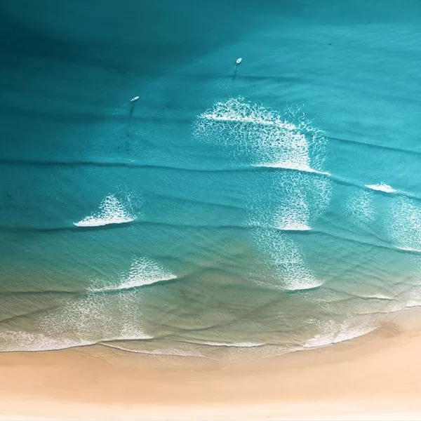 WAVES